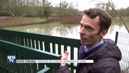 La "zone humide", une méthode de gestion verte des crues