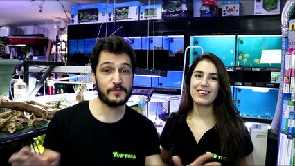 O AQUÁRIO DE ÁGUA DOCE TROPICAL DA CATARINA MIRANDA ( RÁDIO COMERCIAL ) !!!