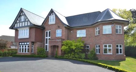 Ayda 10 Milyon TL Kazanacak Alexis Sanchez, Kendine Saray Yavrusu Aldı