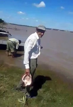 Il lance un morceau de viande à des piranhas affamés... Ils ne vont pas en laisser une miette