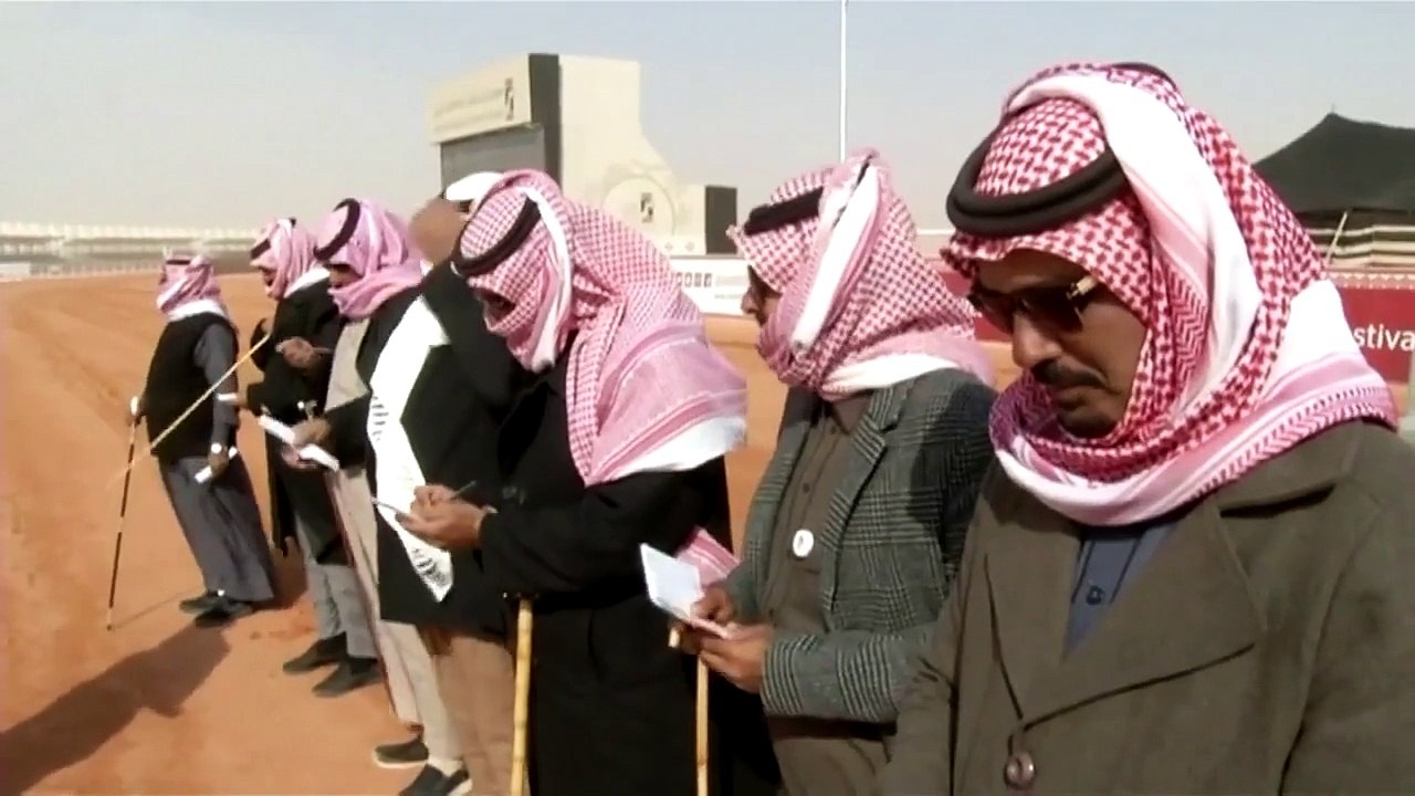 Des chameaux injectés au botox disqualifiés d'un concours en Arabie Saoudite