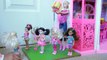 Barbie - Chelseas Slumber Party