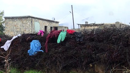 'Zeytin Dalı' ile teröristlerden temizlenen köylerine döndüler - AFRİN