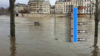 Download Video: Les images marquantes d'une semaine de crue à Paris