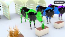 Learn Colors With Cows eating Grass For Kids #z Colours Milk Play Doh Animals for Children
