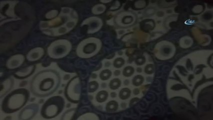 Deaş ve Pyd Tarafından Suriye ve Irak'ta Yağmalanan Tarihi Eserler İstanbul'da Ele Geçirildi