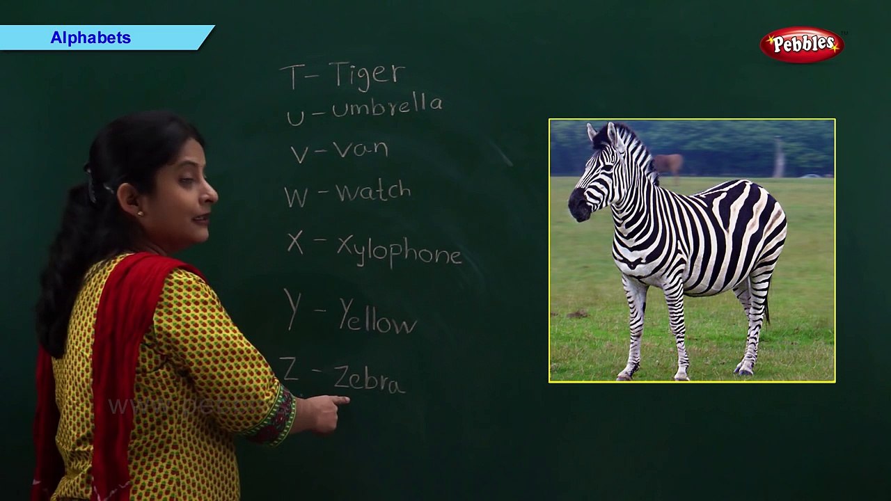 Learn Alphabets | Kindergarten Learning Videos For Kids | Pre School Educational Videos