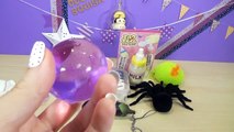 Cutting Open Squishy SPIDER Toy! Homemade Gudetama Stress Ball! Doctor Squish