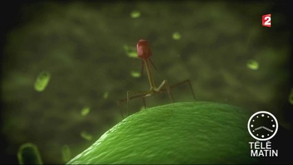 Santé - Lutter contre la résistance aux antibiotiques