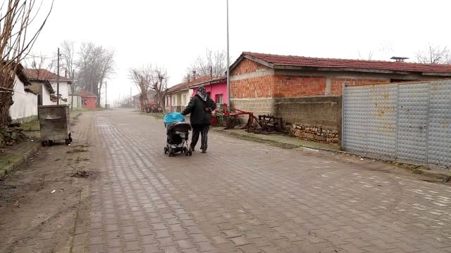 Sokak Hayvanları Süheyla Teyze Nin Yolunu Gözlüyor - Edirne
