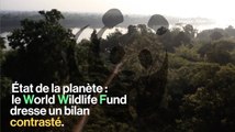 Le bilan contrasté sur l'état de la planète d'Isabelle Autissier (WWF)