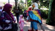 Berwisata di Kebun Binatang Gembira Loka Yogyakarta