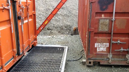 Eight Generations of This Fox Family Have Lived at This Workplace