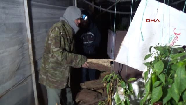 Antalya-Üreticiler Seralarda Don Nöbeti Tuttu