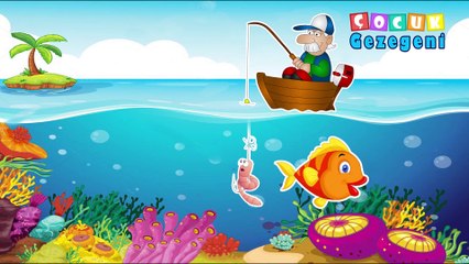 Kırmızı Balık Çocuk Şarkısı indir dinle