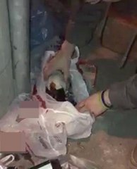 Cani Üniversiteli Çamaşır Makinesine Atıp Öldürdüğü Kediyi Poşetle Çöpe Attı