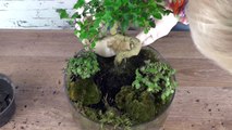 DIY: süßer Miniatur-Garten als Frühlingsdeko für den Tisch [How to] Deko Kitchen