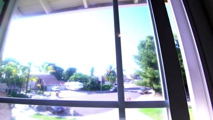 GoPro on a Cat Left Home Alone