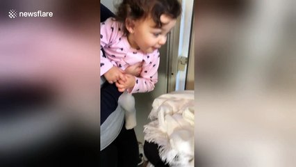 Little girl's ecstatic reaction to meeting newborn sister for first time