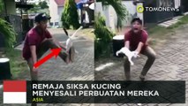 Video viral penyiksa kucing akhirnya mereka minta maaf - TomoNews