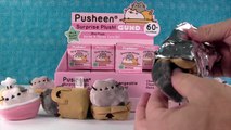 Pusheen Series 3 Blind Box Surprise Plush Gund Places Cats Sit Unboxing | PSToyReviews