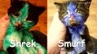 Tiny Kittens Covered in Blue and Green Permanent Marker Get Rescued
