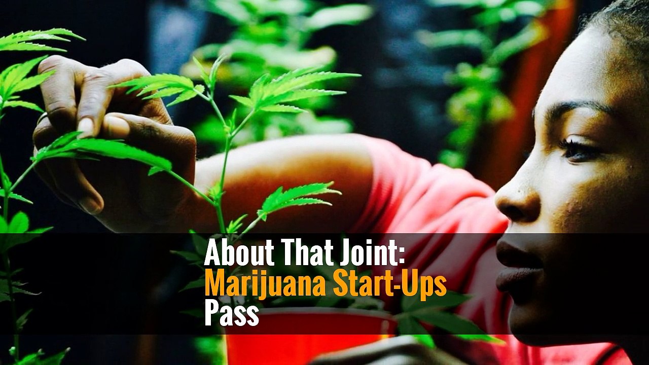 About That Joint: Marijuana Start-Ups Pass