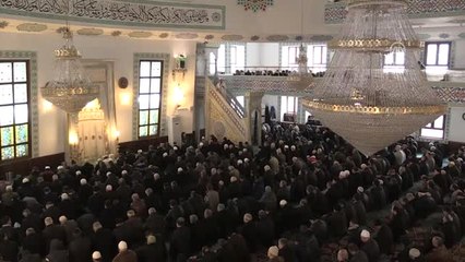 Zeytin Dalı Harekatı'na Destek