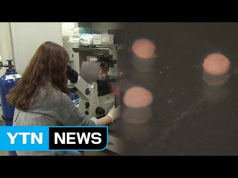 인체 3차원 간암모델 ...간암 치료제 개발 기여 / YTN
