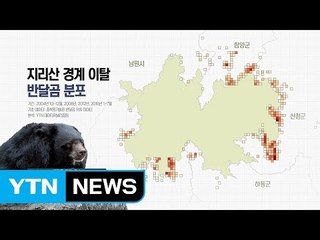 지리산 이탈 반달곰 적어도 26마리...행정체계는 미비 / YTN