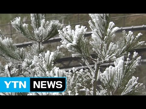 [날씨] 찬 바람 쌩쌩, 기온 뚝...주말 추위에 산간 대설 / YTN