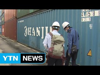 '붉은 불개미' 부산항 조사 이번주 내 마무리 / YTN