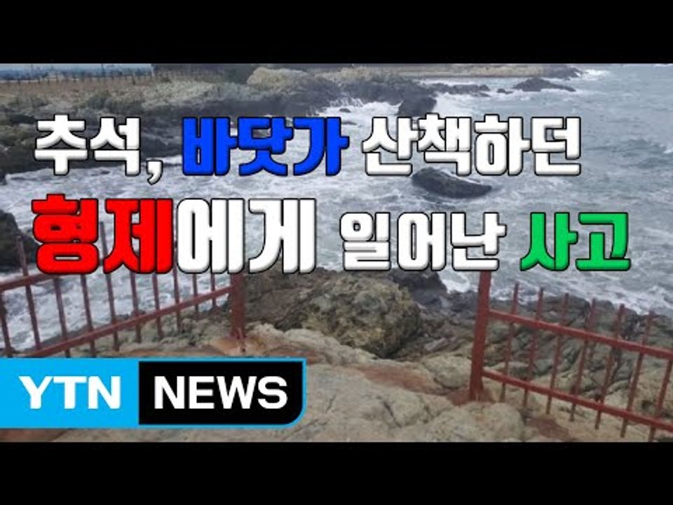 [자막뉴스] 추석 당일, 바닷가 산책하던 형제에게 일어난 사고 / YTN