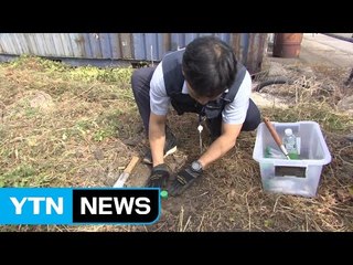 '붉은 불개미' 방역 강화...부산항 조사 오늘 마무리 / YTN