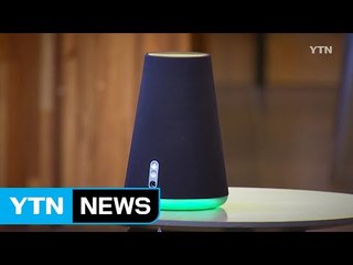 인공지능 스피커에 말하면 서비스가 '척척' / YTN