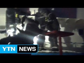 불법조업 중국어선 선장 구속 / YTN