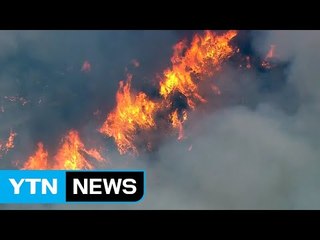 美 오렌지카운티 인근 산불...주민 대피령 / YTN