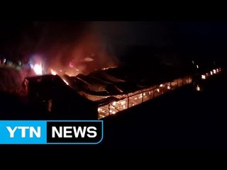 파주 돼지 축사에 불...돼지 1,300마리 폐사 / YTN