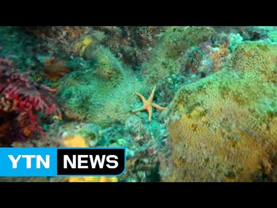 내가 쓸모없다고요? 뭘 모르시는 말씀! / YTN