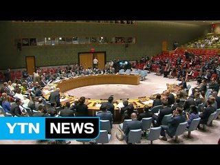 새 대북제재 결의 채택...유류 공급 30% 차단 / YTN