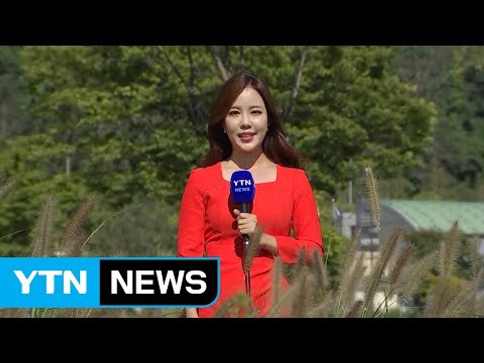 [날씨] 높고 파란 하늘...내일도 맑고 일교차 커 / YTN
