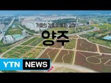 [YTN 구석구석 코리아] 가을의 감동을 품은 고장, 양주 / YTN