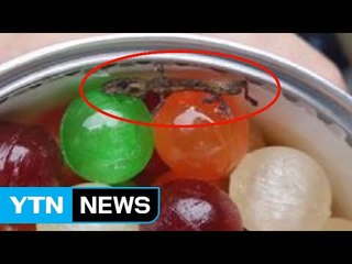 軍 마트 식품에 도마뱀 사체...징계는 솜방망이 / YTN