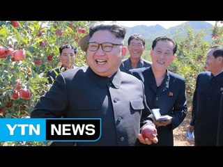 北 김정은, 과수원 시찰 "어깨춤 절로 난다" / YTN