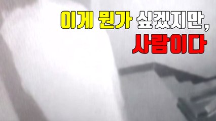 [자막뉴스] '이렇게 하면 못 잡겠지?' 생각했겠지만...잡혔다 / YTN