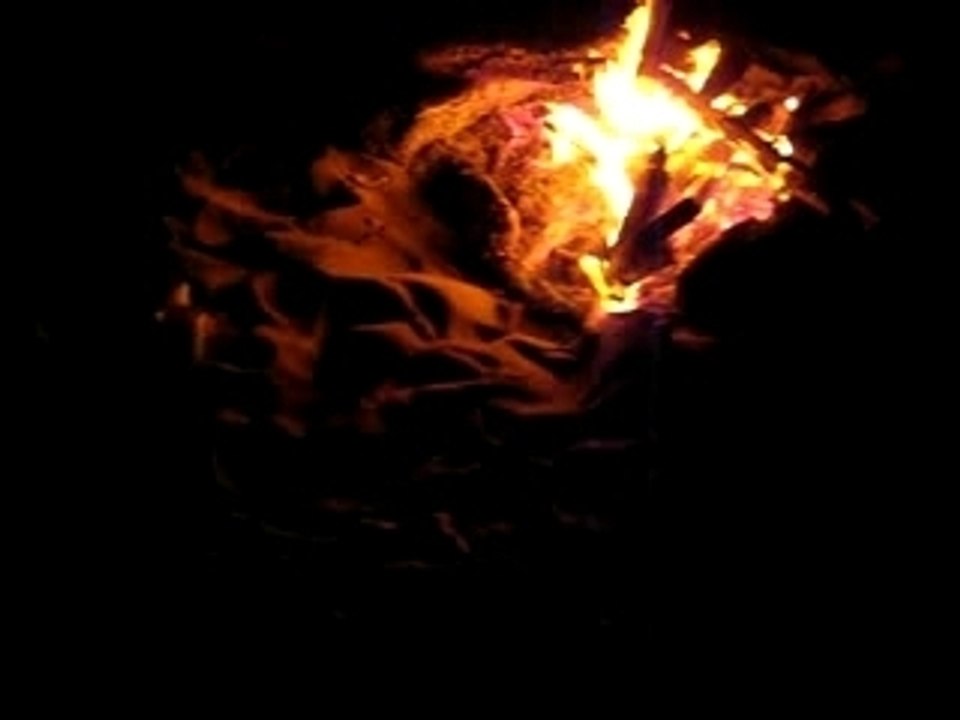 Tortues sur la plage la nuit (Maruata, Mexique)