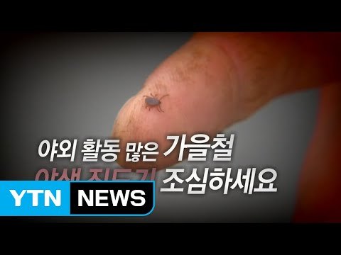 올해 사망자 벌써 31명...야생 진드기 조심하세요 / YTN