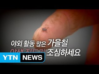 올해 사망자 벌써 31명...야생 진드기 조심하세요 / YTN