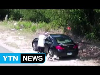 [영상] 길가에 개 버린 남성...결국 자수 / YTN