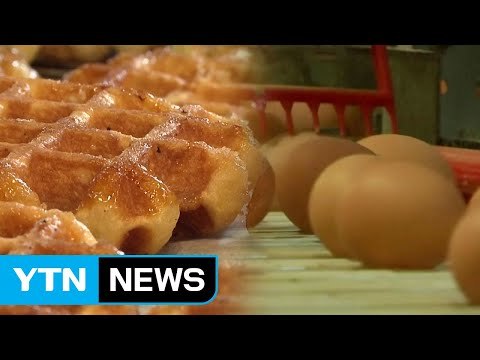 살충제 오염 유럽 달걀, 국내에 불똥...벨기에 와플 판매중단 / YTN